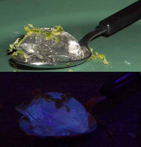 Gin and Tonic Jelly