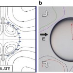 Permalink to: Active Structuring Of Colloidal Armour On Liquid Drops